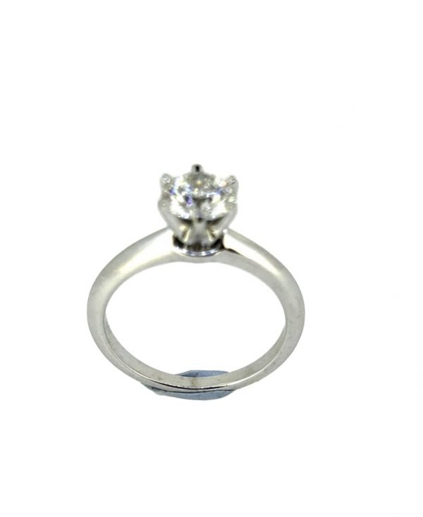 Photoroom_20240222_20322 PM